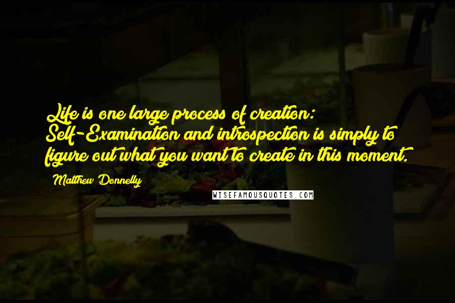 Matthew Donnelly Quotes: Life is one large process of creation: Self-Examination and introspection is simply to figure out what you want to create in this moment.