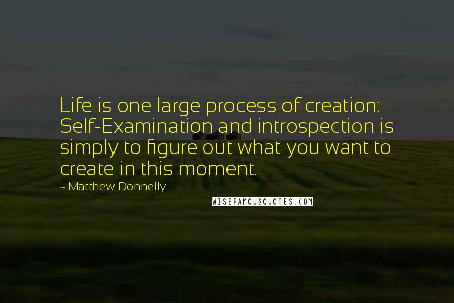 Matthew Donnelly Quotes: Life is one large process of creation: Self-Examination and introspection is simply to figure out what you want to create in this moment.
