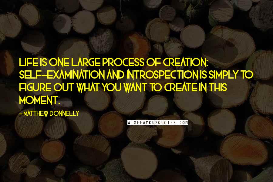 Matthew Donnelly Quotes: Life is one large process of creation: Self-Examination and introspection is simply to figure out what you want to create in this moment.