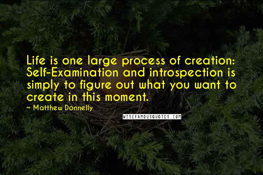 Matthew Donnelly Quotes: Life is one large process of creation: Self-Examination and introspection is simply to figure out what you want to create in this moment.