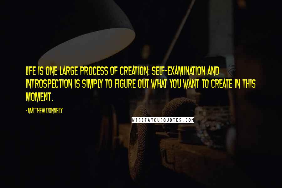 Matthew Donnelly Quotes: Life is one large process of creation: Self-Examination and introspection is simply to figure out what you want to create in this moment.