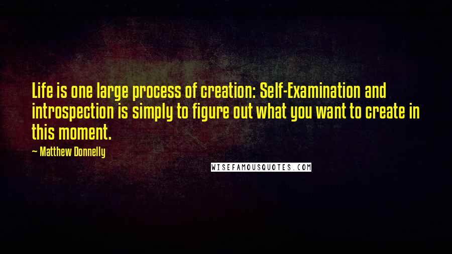 Matthew Donnelly Quotes: Life is one large process of creation: Self-Examination and introspection is simply to figure out what you want to create in this moment.