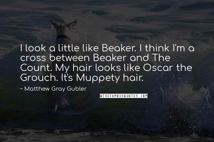 Matthew Gray Gubler Quotes: I look a little like Beaker. I think I'm a cross between Beaker and The Count. My hair looks like Oscar the Grouch. It's Muppety hair.