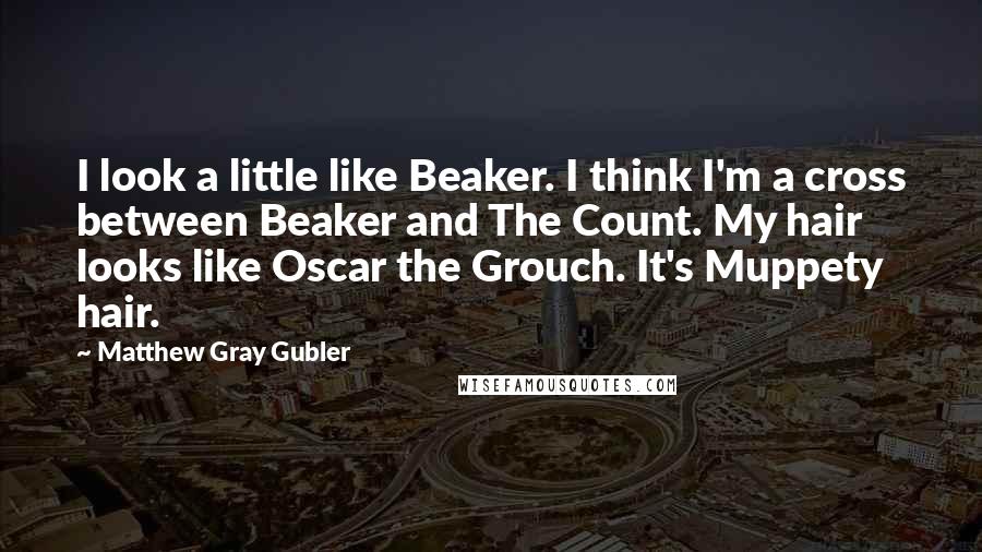 Matthew Gray Gubler Quotes: I look a little like Beaker. I think I'm a cross between Beaker and The Count. My hair looks like Oscar the Grouch. It's Muppety hair.