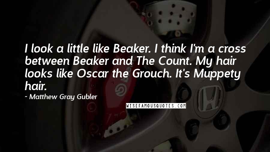 Matthew Gray Gubler Quotes: I look a little like Beaker. I think I'm a cross between Beaker and The Count. My hair looks like Oscar the Grouch. It's Muppety hair.