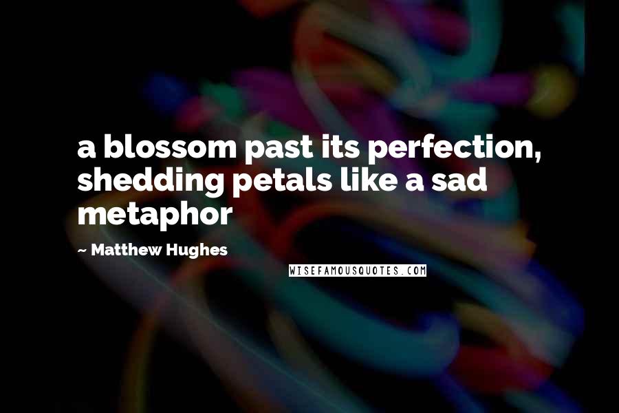 Matthew Hughes Quotes: a blossom past its perfection, shedding petals like a sad metaphor