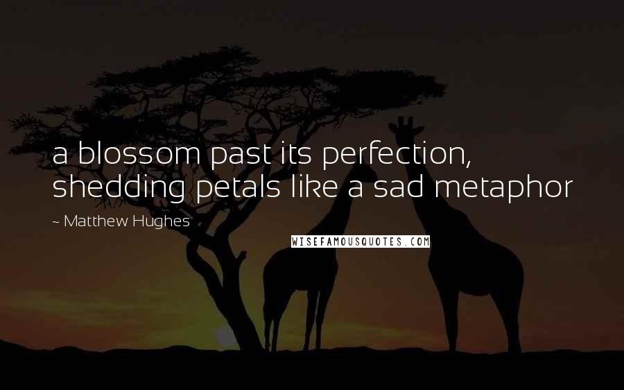 Matthew Hughes Quotes: a blossom past its perfection, shedding petals like a sad metaphor