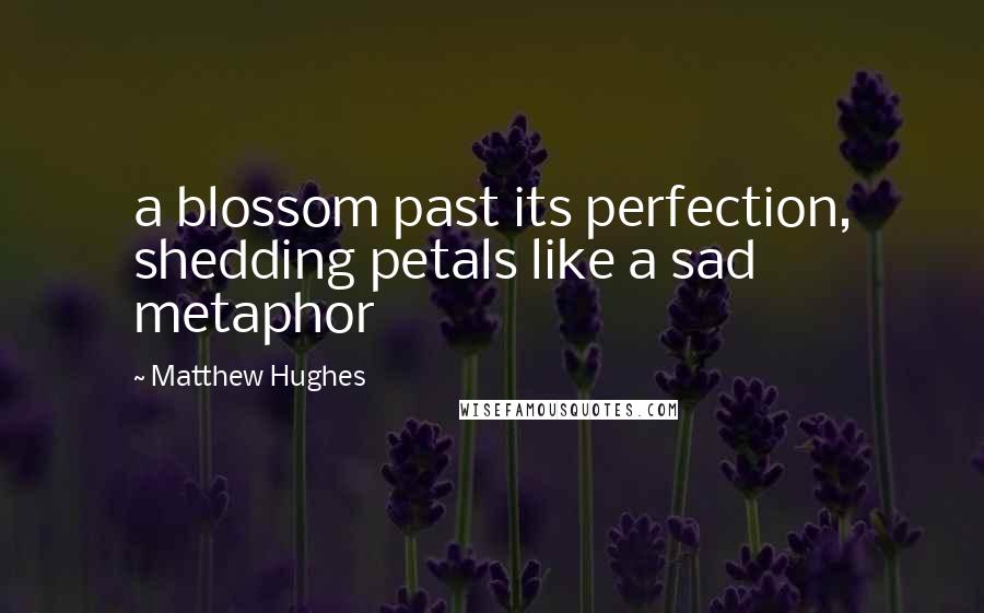 Matthew Hughes Quotes: a blossom past its perfection, shedding petals like a sad metaphor