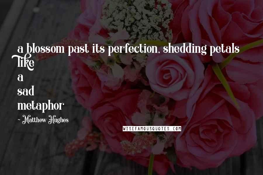 Matthew Hughes Quotes: a blossom past its perfection, shedding petals like a sad metaphor