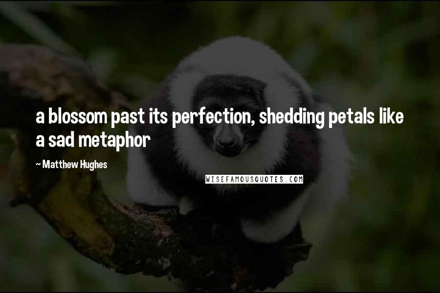 Matthew Hughes Quotes: a blossom past its perfection, shedding petals like a sad metaphor