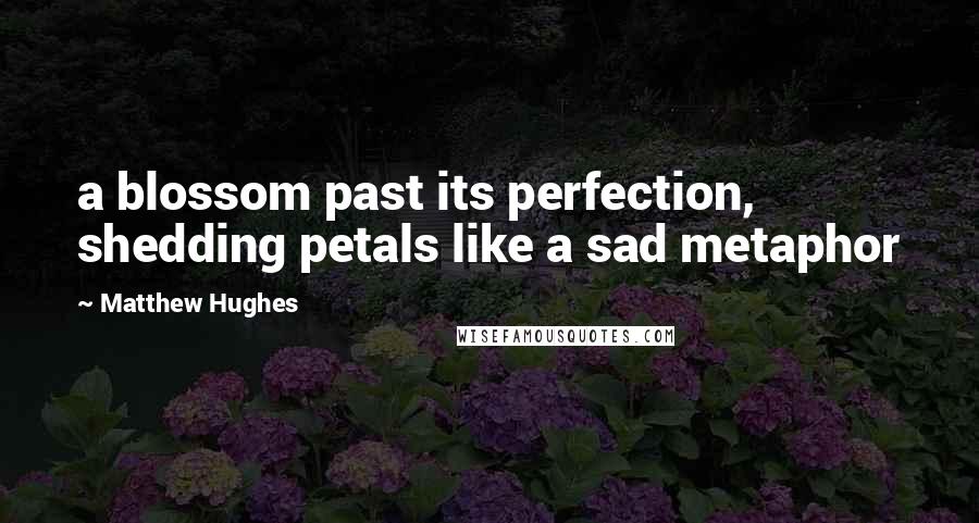 Matthew Hughes Quotes: a blossom past its perfection, shedding petals like a sad metaphor