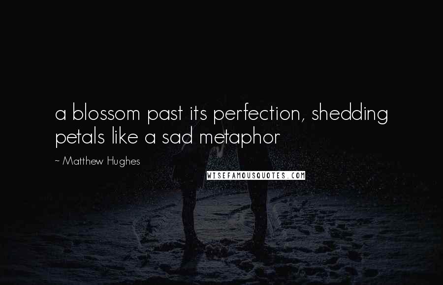 Matthew Hughes Quotes: a blossom past its perfection, shedding petals like a sad metaphor