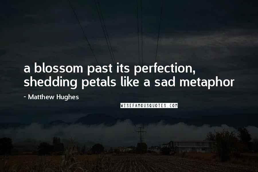 Matthew Hughes Quotes: a blossom past its perfection, shedding petals like a sad metaphor