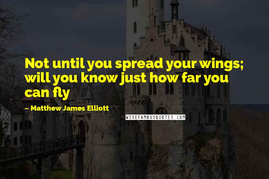 Matthew James Elliott Quotes: Not until you spread your wings; will you know just how far you can fly