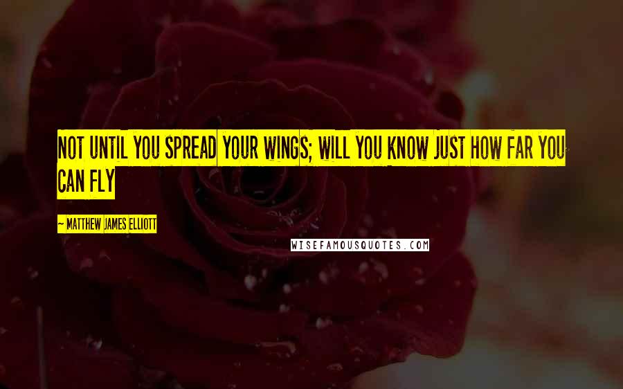 Matthew James Elliott Quotes: Not until you spread your wings; will you know just how far you can fly