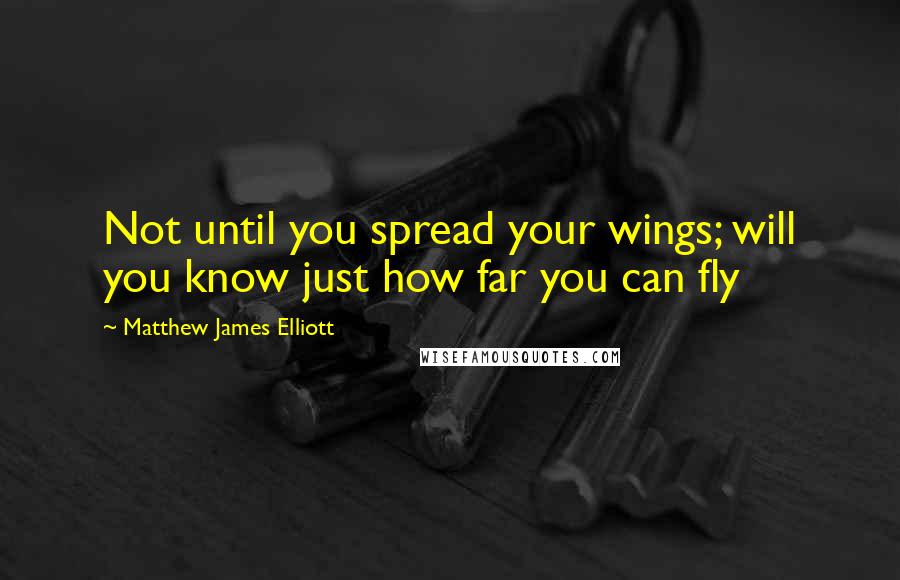 Matthew James Elliott Quotes: Not until you spread your wings; will you know just how far you can fly