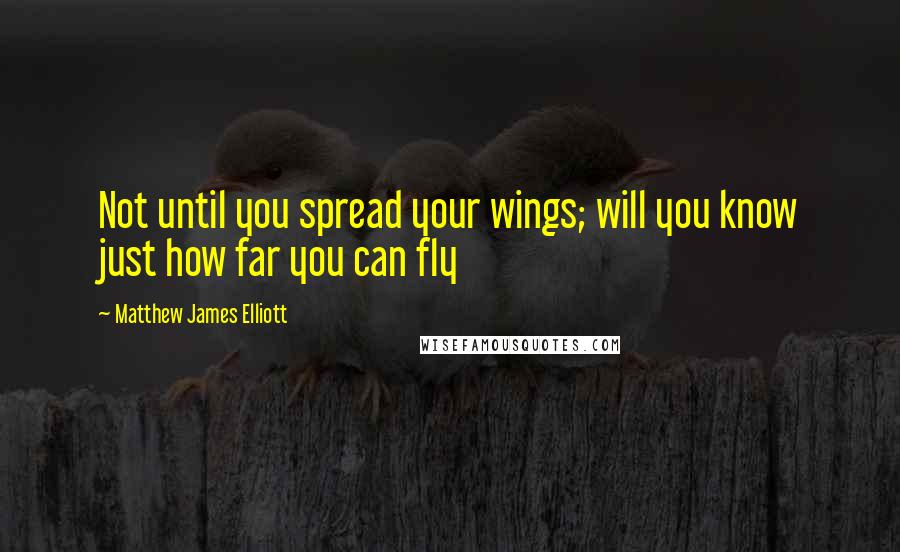 Matthew James Elliott Quotes: Not until you spread your wings; will you know just how far you can fly