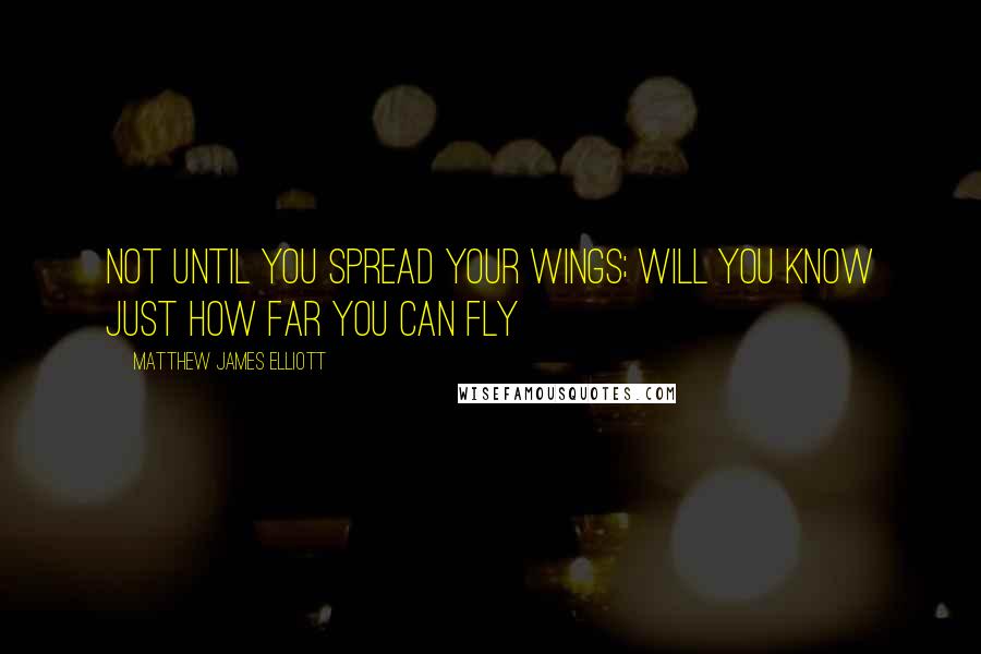 Matthew James Elliott Quotes: Not until you spread your wings; will you know just how far you can fly