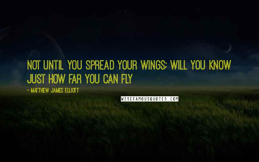 Matthew James Elliott Quotes: Not until you spread your wings; will you know just how far you can fly
