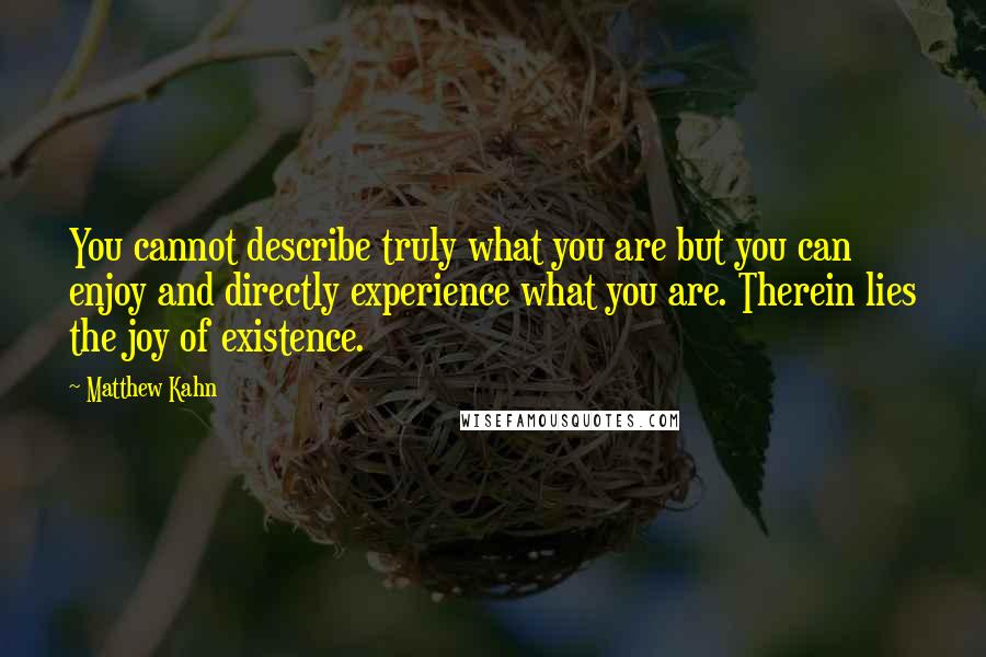 Matthew Kahn Quotes: You cannot describe truly what you are but you can enjoy and directly experience what you are. Therein lies the joy of existence.