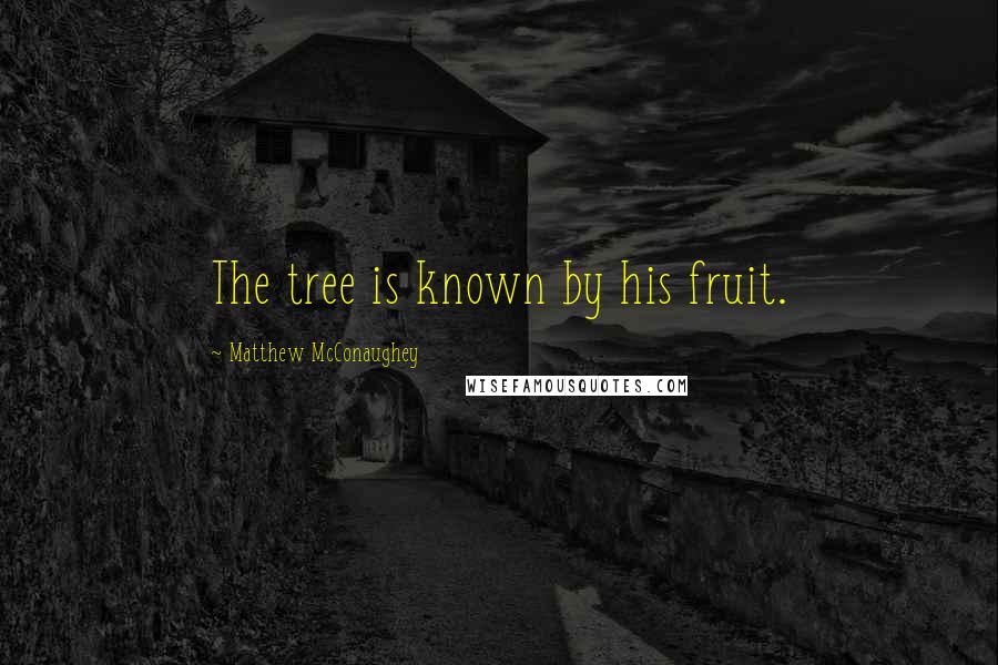 Matthew McConaughey Quotes: The tree is known by his fruit.