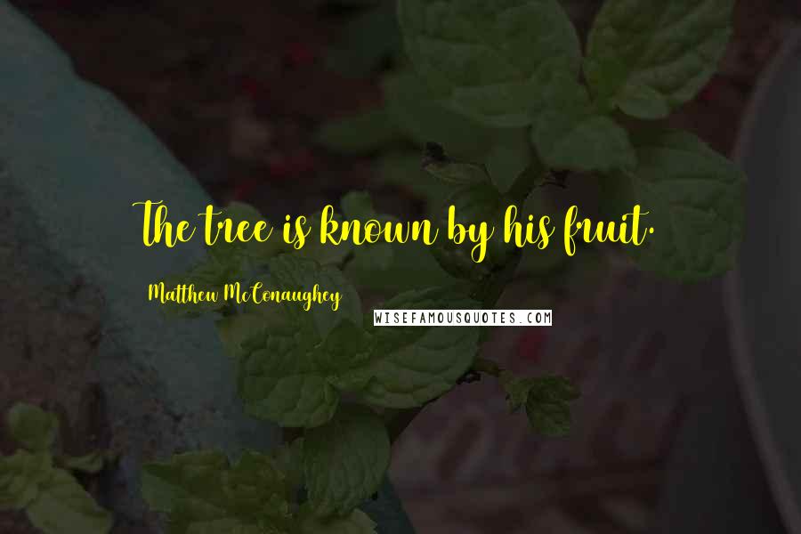 Matthew McConaughey Quotes: The tree is known by his fruit.