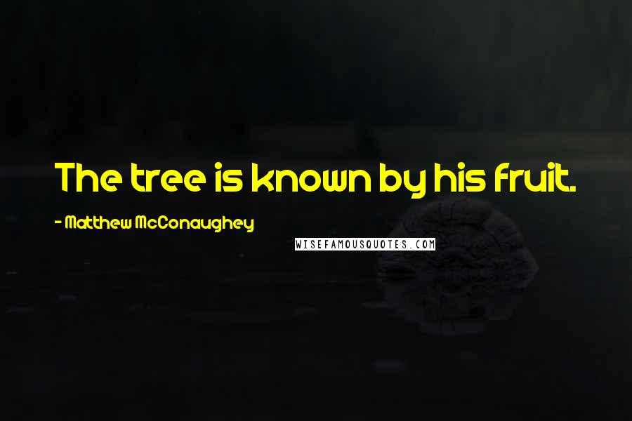 Matthew McConaughey Quotes: The tree is known by his fruit.