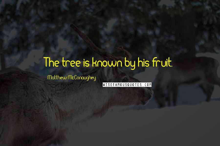 Matthew McConaughey Quotes: The tree is known by his fruit.