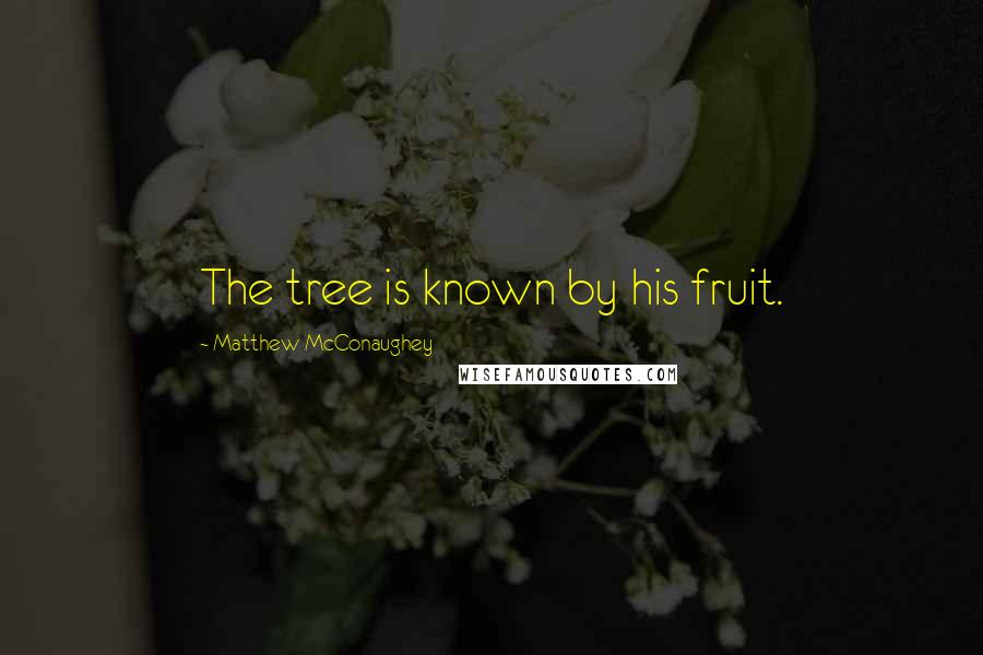 Matthew McConaughey Quotes: The tree is known by his fruit.