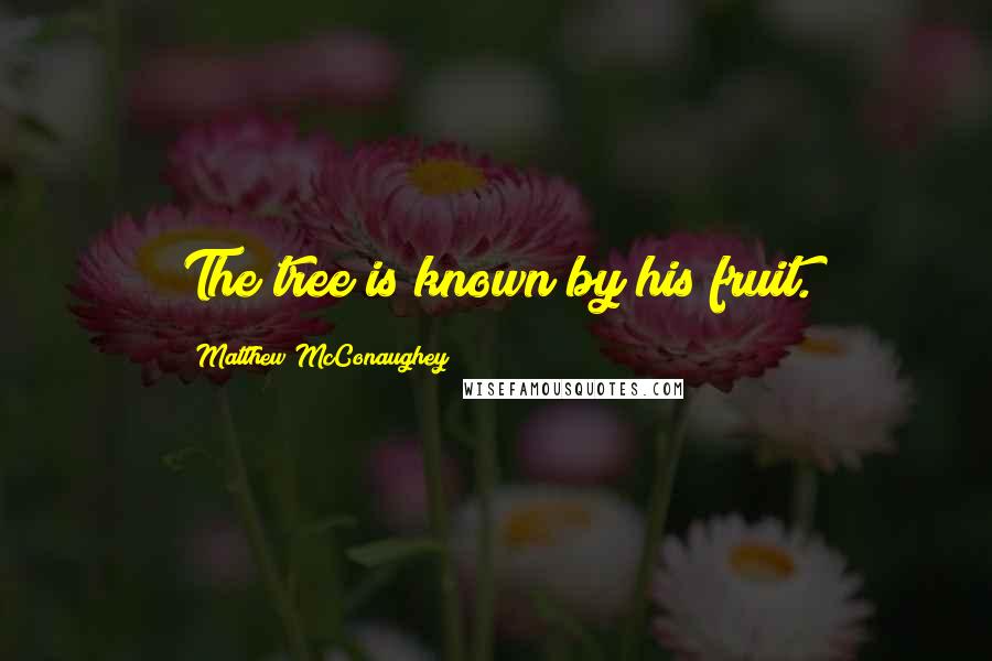 Matthew McConaughey Quotes: The tree is known by his fruit.