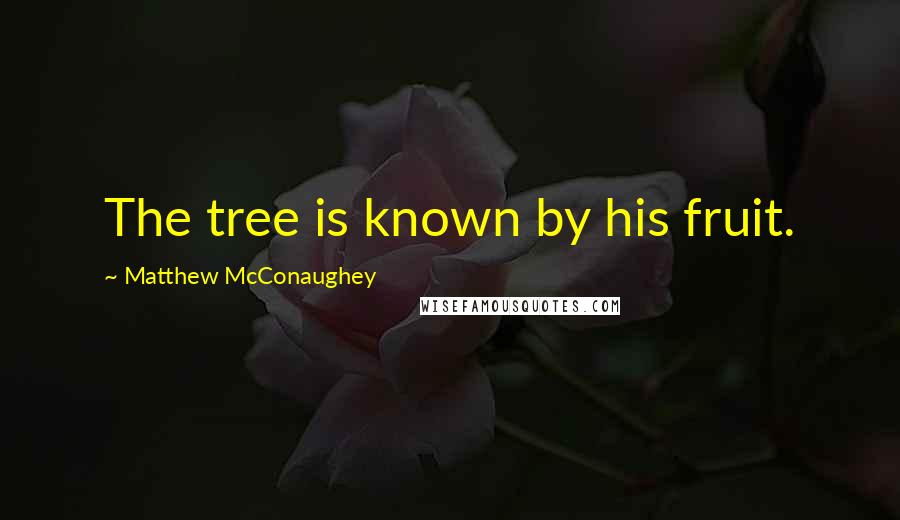 Matthew McConaughey Quotes: The tree is known by his fruit.