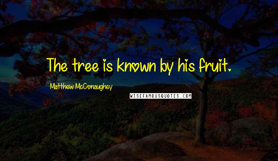 Matthew McConaughey Quotes: The tree is known by his fruit.