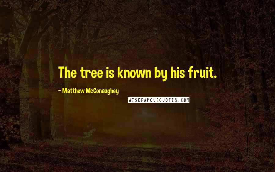 Matthew McConaughey Quotes: The tree is known by his fruit.