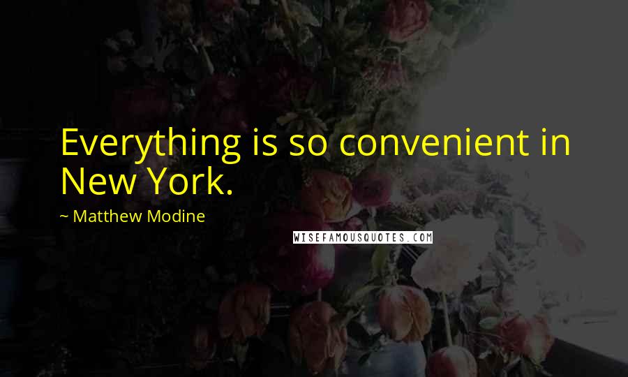 Matthew Modine Quotes: Everything is so convenient in New York.
