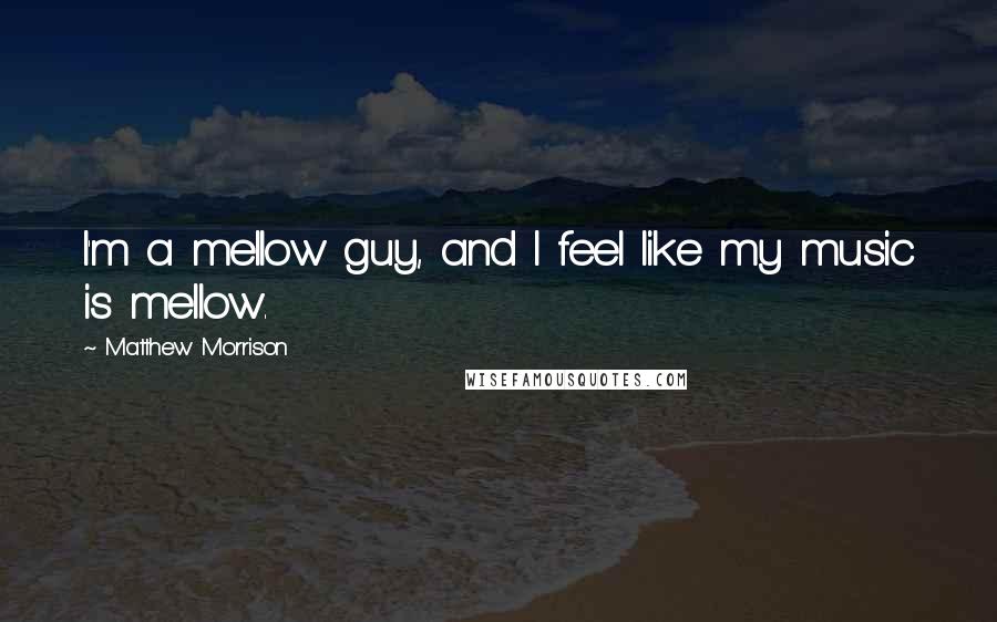 Matthew Morrison Quotes: I'm a mellow guy, and I feel like my music is mellow.