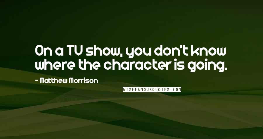 Matthew Morrison Quotes: On a TV show, you don't know where the character is going.