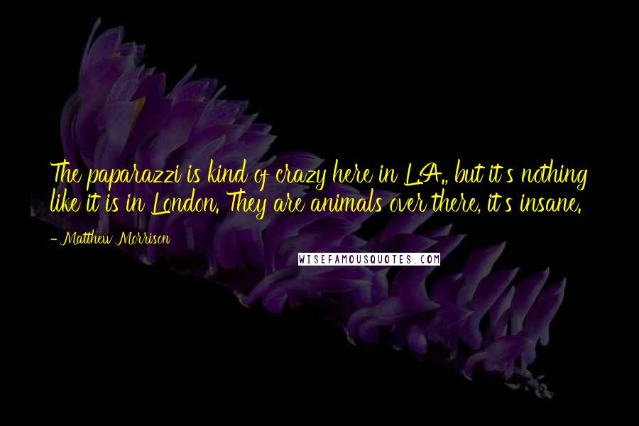 Matthew Morrison Quotes: The paparazzi is kind of crazy here in L.A., but it's nothing like it is in London. They are animals over there, it's insane.