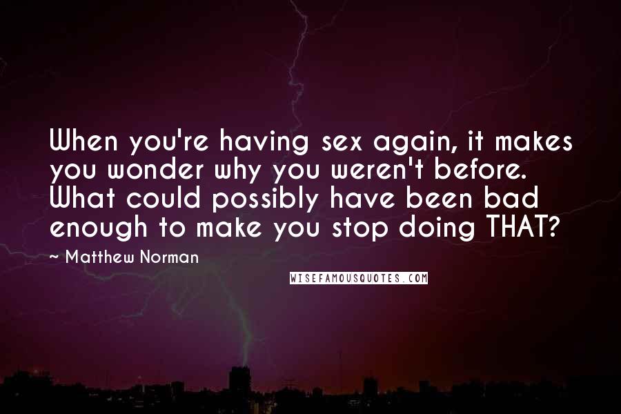 Matthew Norman Quotes: When you're having sex again, it makes you wonder why you weren't before. What could possibly have been bad enough to make you stop doing THAT?