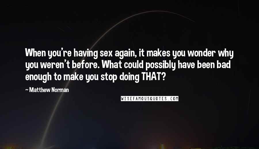 Matthew Norman Quotes: When you're having sex again, it makes you wonder why you weren't before. What could possibly have been bad enough to make you stop doing THAT?