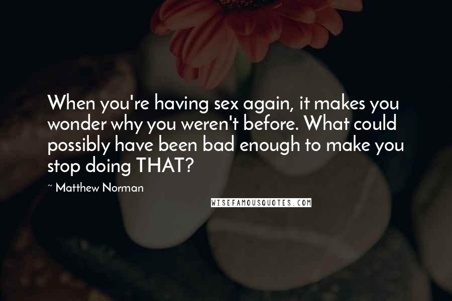 Matthew Norman Quotes: When you're having sex again, it makes you wonder why you weren't before. What could possibly have been bad enough to make you stop doing THAT?