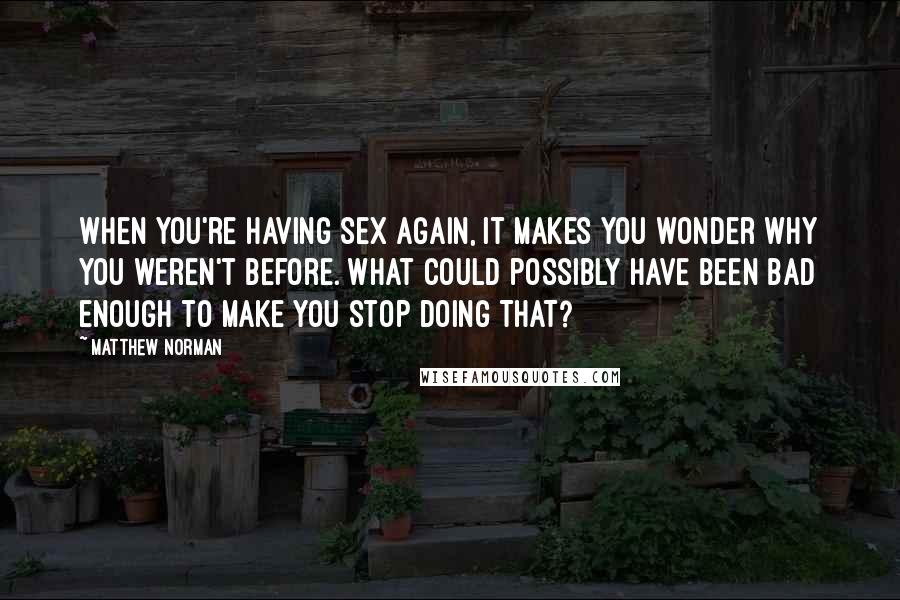 Matthew Norman Quotes: When you're having sex again, it makes you wonder why you weren't before. What could possibly have been bad enough to make you stop doing THAT?