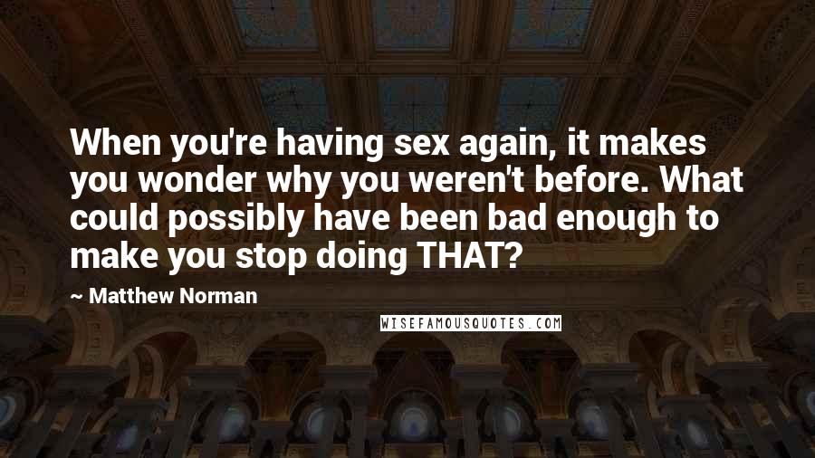 Matthew Norman Quotes: When you're having sex again, it makes you wonder why you weren't before. What could possibly have been bad enough to make you stop doing THAT?