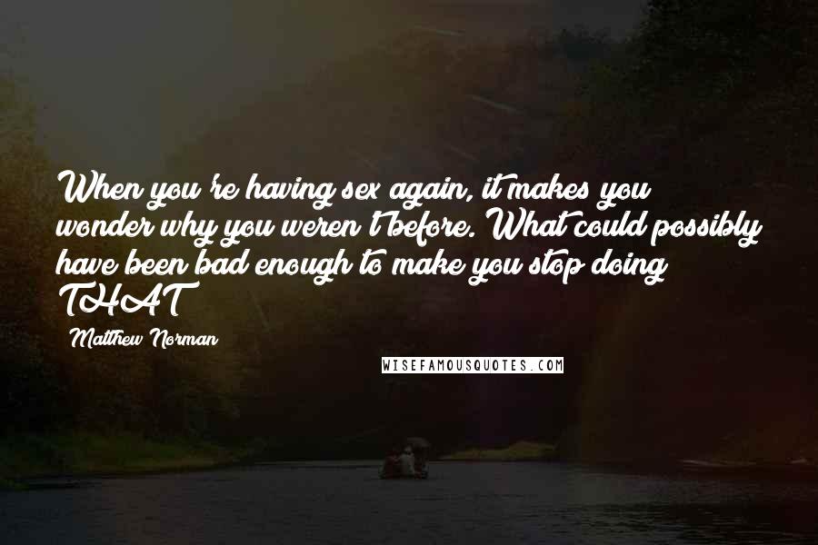 Matthew Norman Quotes: When you're having sex again, it makes you wonder why you weren't before. What could possibly have been bad enough to make you stop doing THAT?