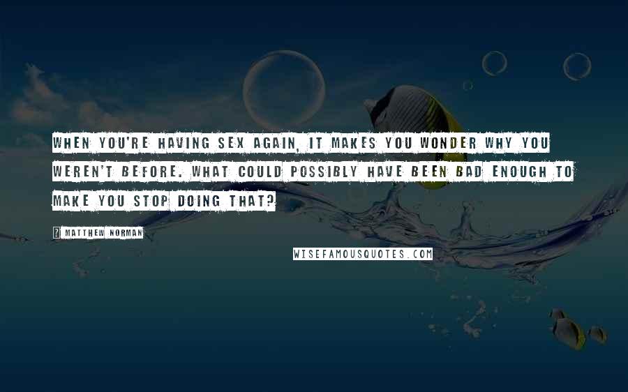 Matthew Norman Quotes: When you're having sex again, it makes you wonder why you weren't before. What could possibly have been bad enough to make you stop doing THAT?