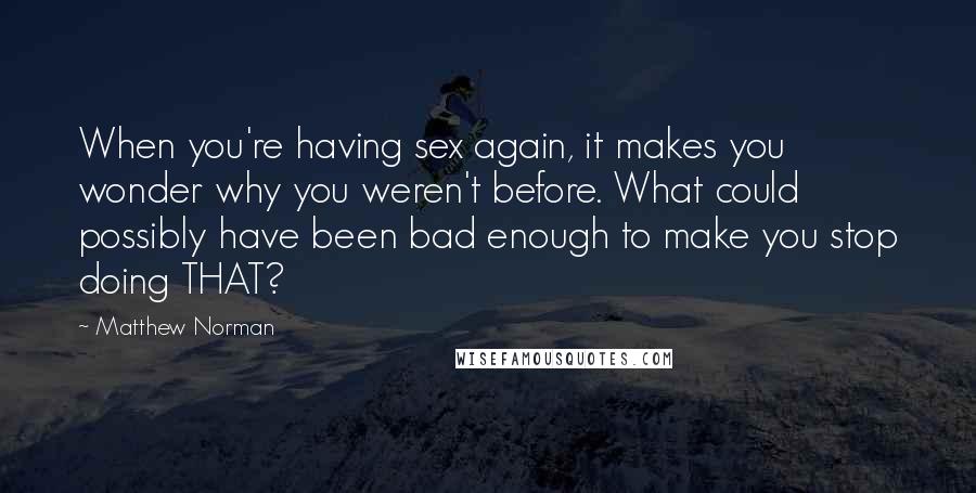 Matthew Norman Quotes: When you're having sex again, it makes you wonder why you weren't before. What could possibly have been bad enough to make you stop doing THAT?