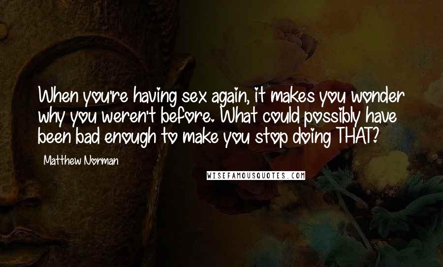 Matthew Norman Quotes: When you're having sex again, it makes you wonder why you weren't before. What could possibly have been bad enough to make you stop doing THAT?