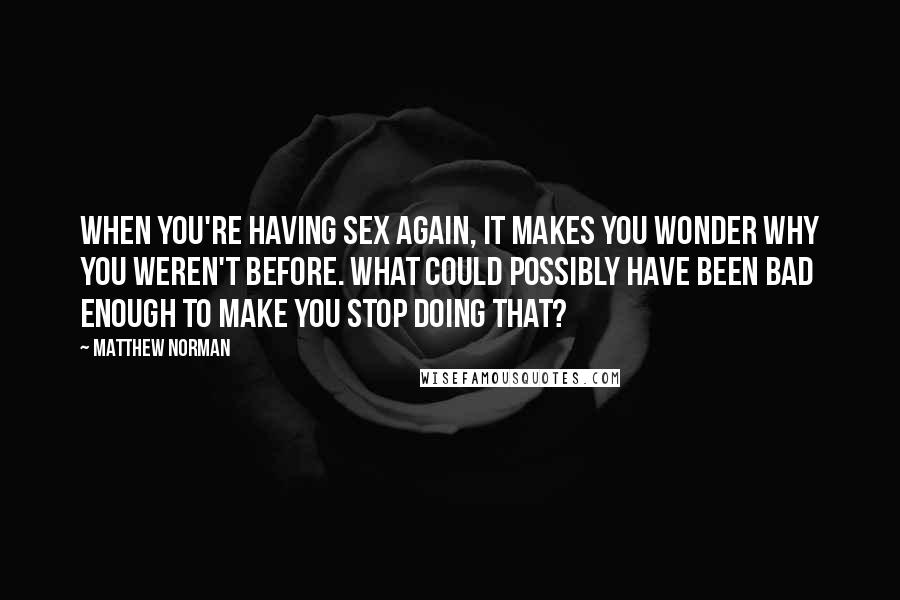 Matthew Norman Quotes: When you're having sex again, it makes you wonder why you weren't before. What could possibly have been bad enough to make you stop doing THAT?