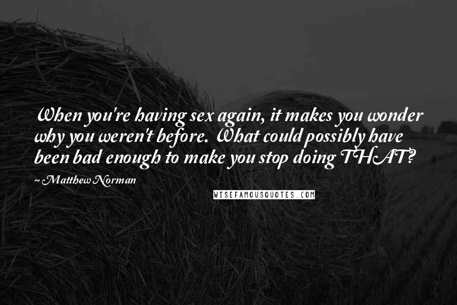 Matthew Norman Quotes: When you're having sex again, it makes you wonder why you weren't before. What could possibly have been bad enough to make you stop doing THAT?