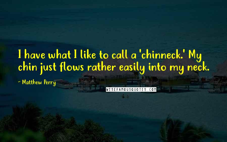 Matthew Perry Quotes: I have what I like to call a 'chinneck.' My chin just flows rather easily into my neck.