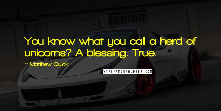 Matthew Quick Quotes: You know what you call a herd of unicorns? A blessing. True.